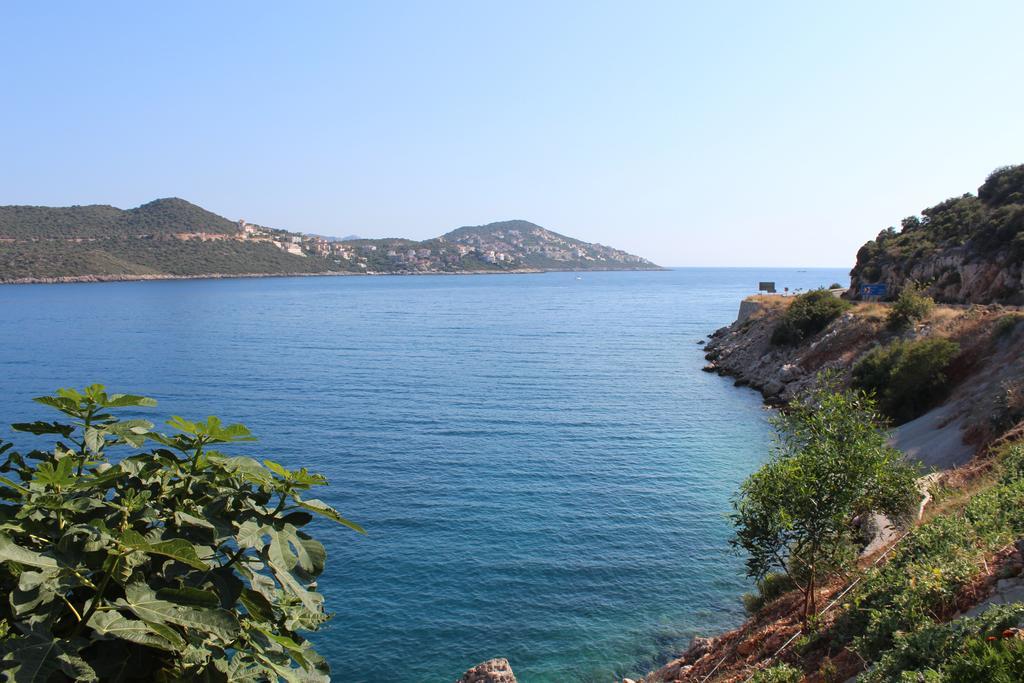 Villa Koknar Pension Каш Номер фото