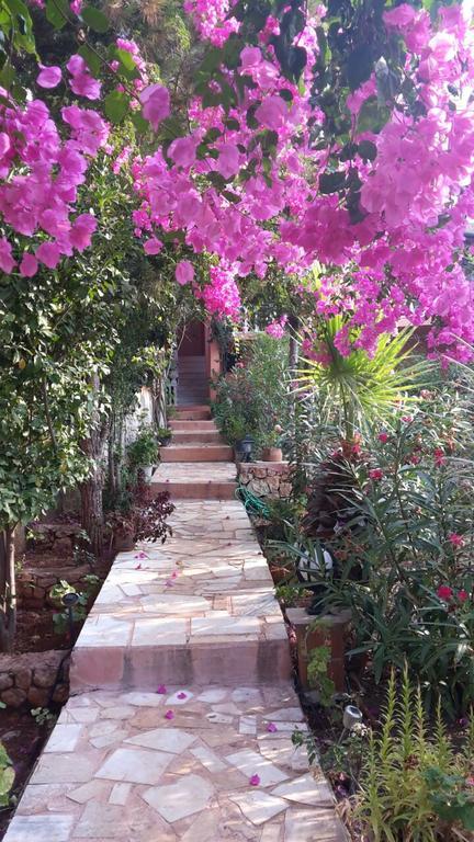 Villa Koknar Pension Каш Экстерьер фото